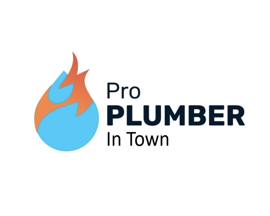Pro Plumber In Town logo
